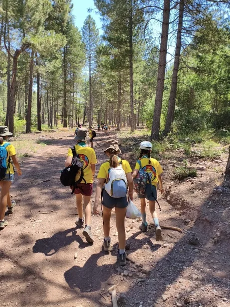 Camino entre los pinos durante el campamento de 2026
